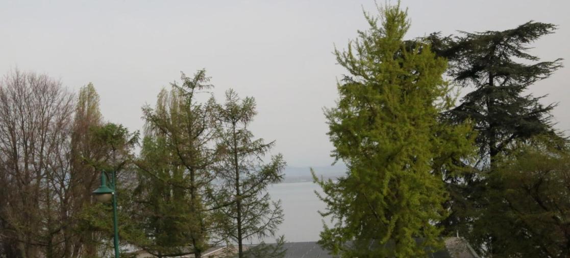Magnifique T3 Face Au Lac 埃维昂莱班 外观 照片